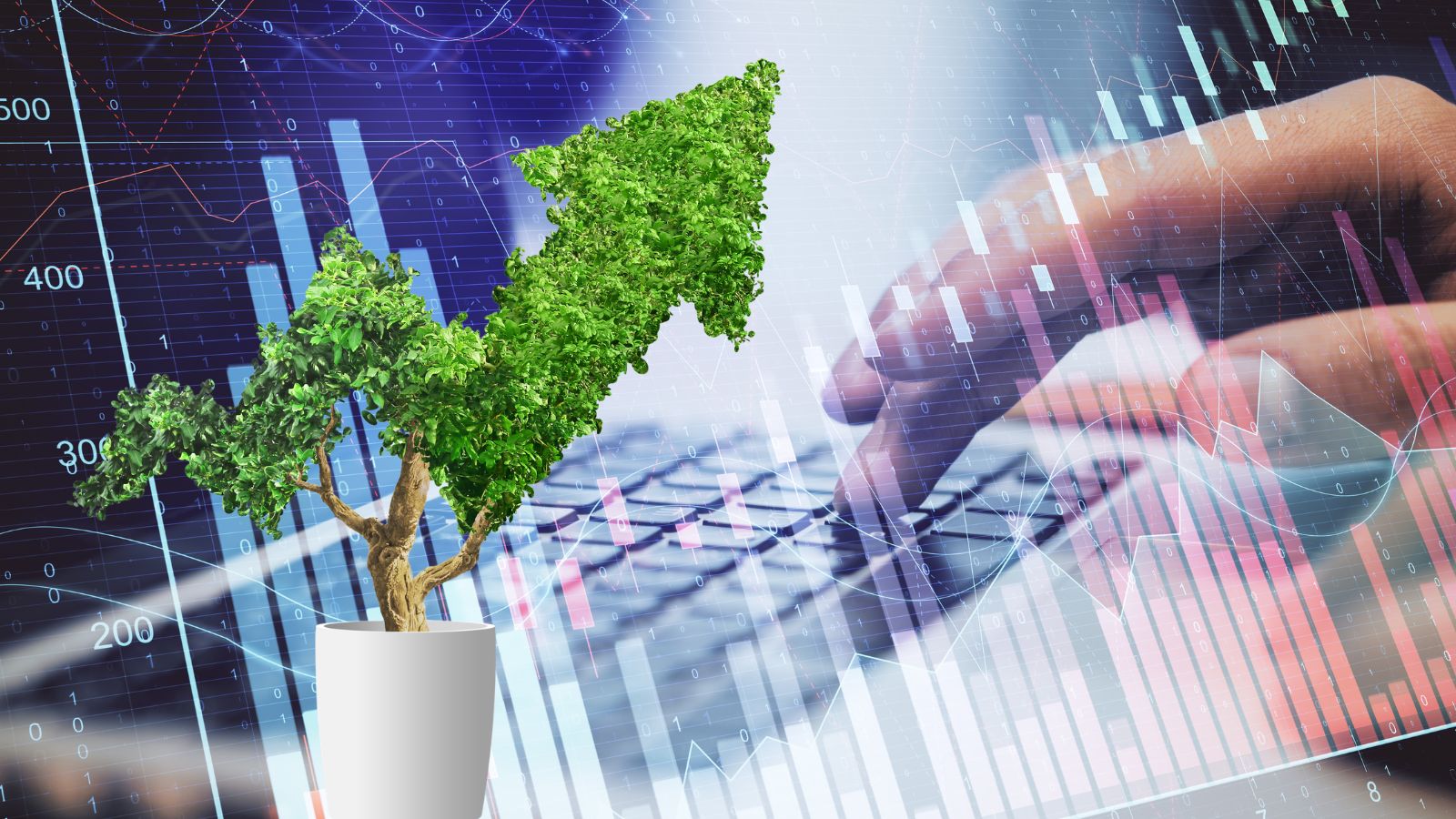 Justina Alders-Sheya (Triodos): kapitaal inzetten voor transformatieve verandering