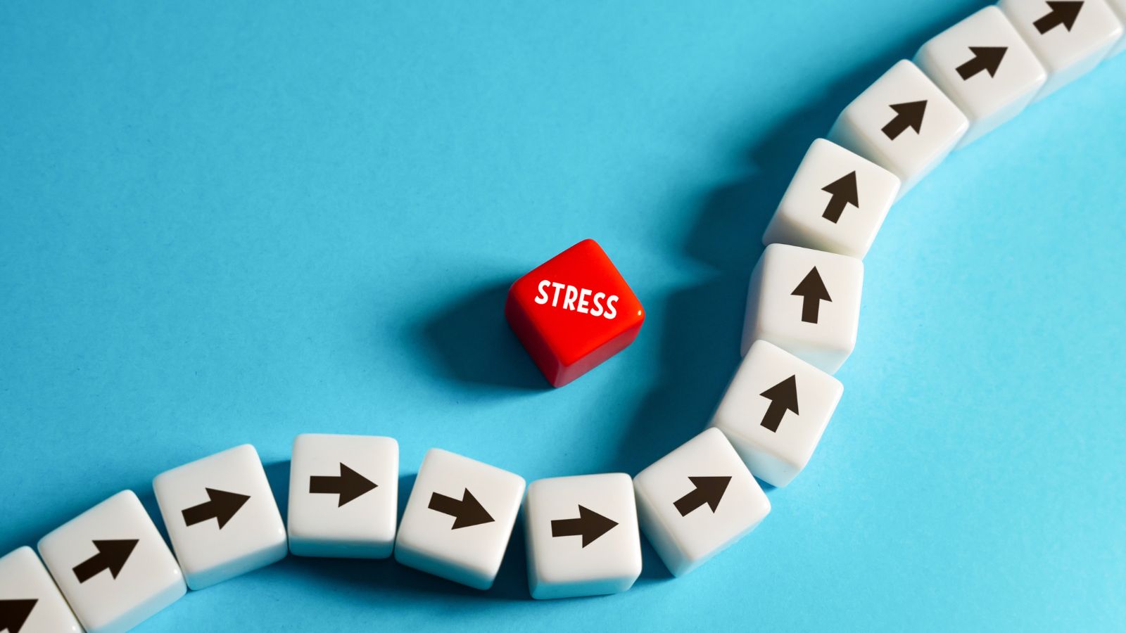 De invloed van stress op het herstel van de betrokkene