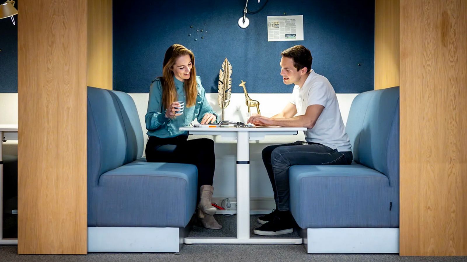 Finance & Business Analist (CFO op afstand)