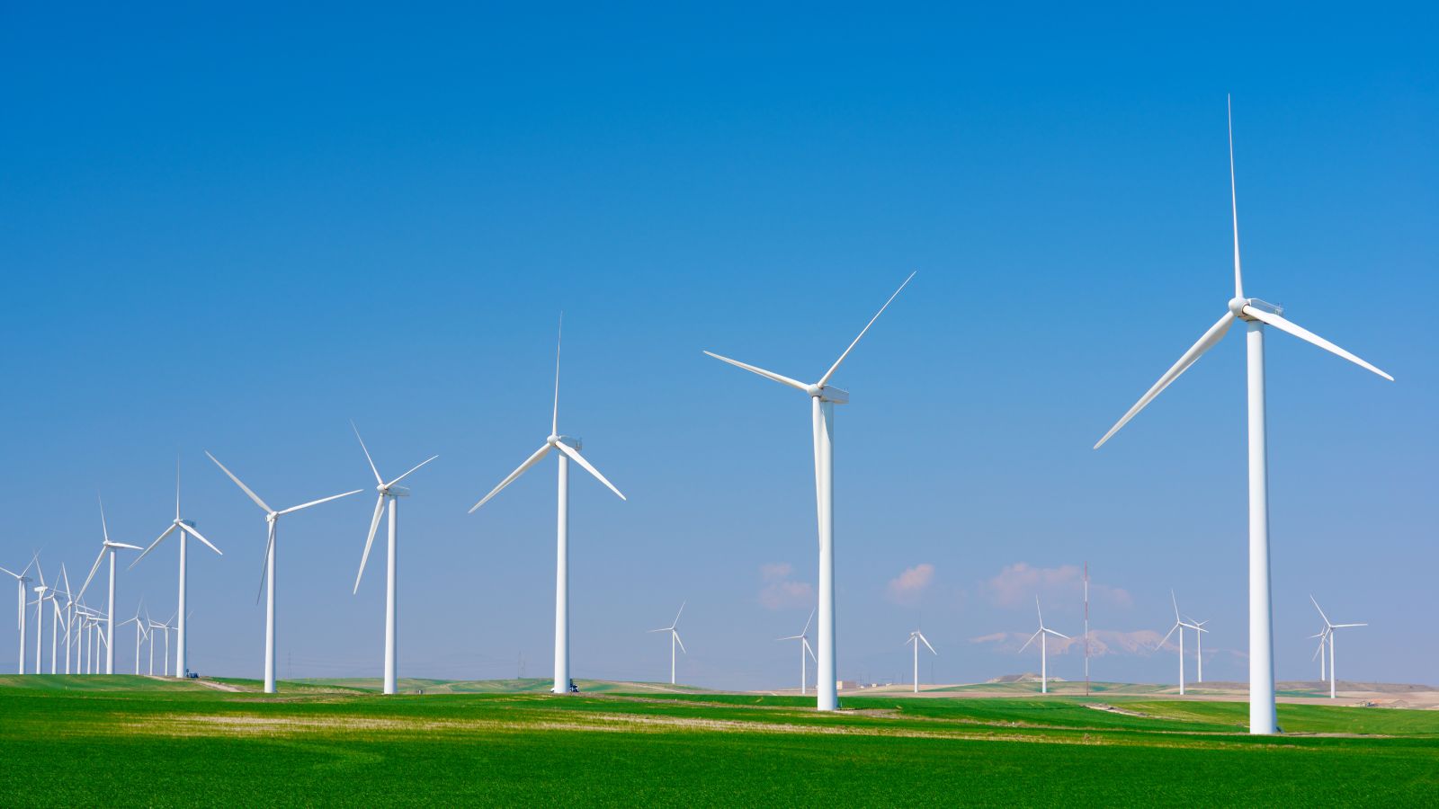 Van compliance naar veerkracht en waardecreatie