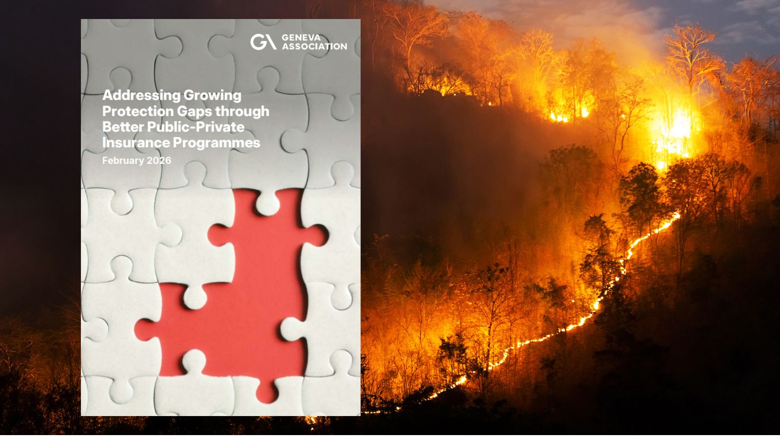 Slimme publiek-private verzekeringsoplossingen