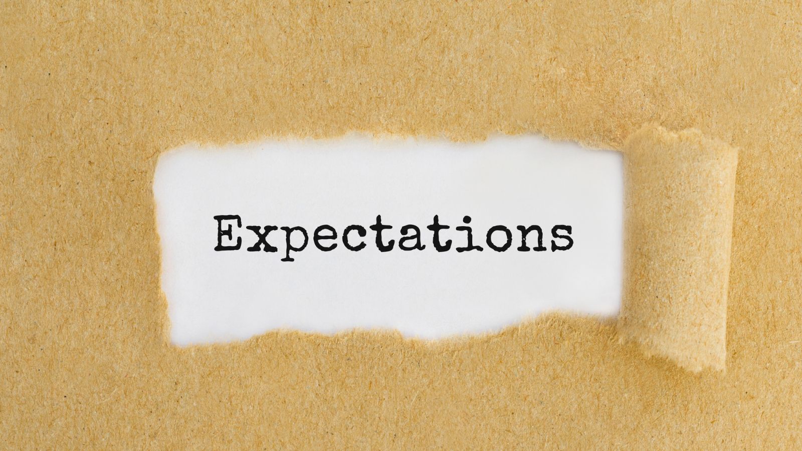 Wat werkgevers vandaag écht verwachten van de vakspecialist