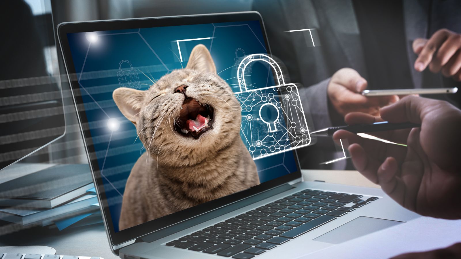 Rijk maakt MIAUW-methodiek standaard voor pentesten