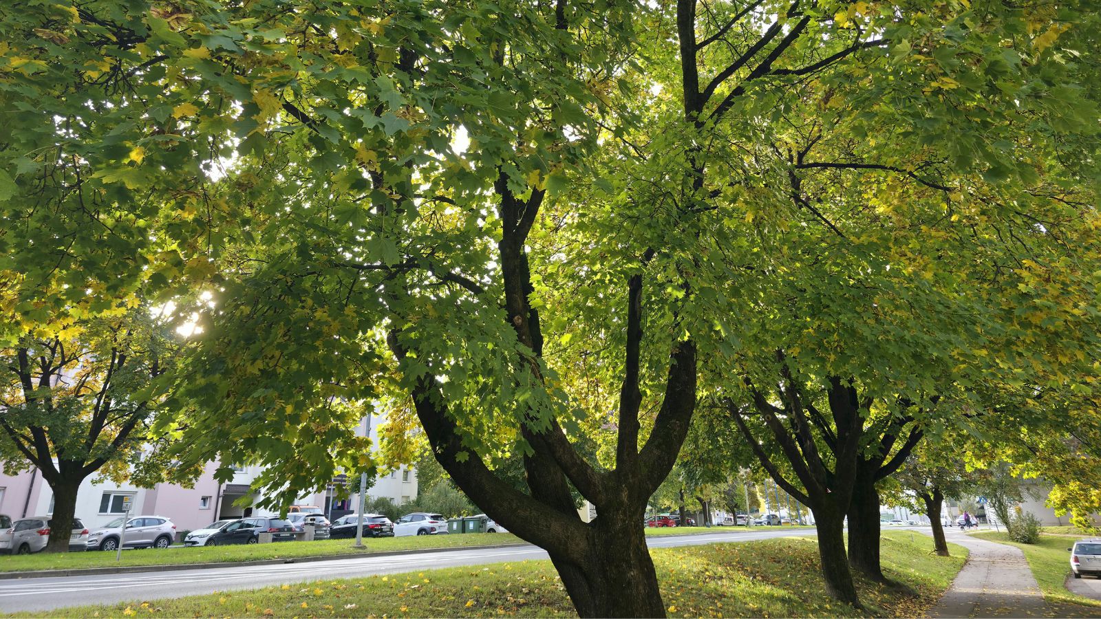 Hoe gemeenten vergroening kunnen financieren