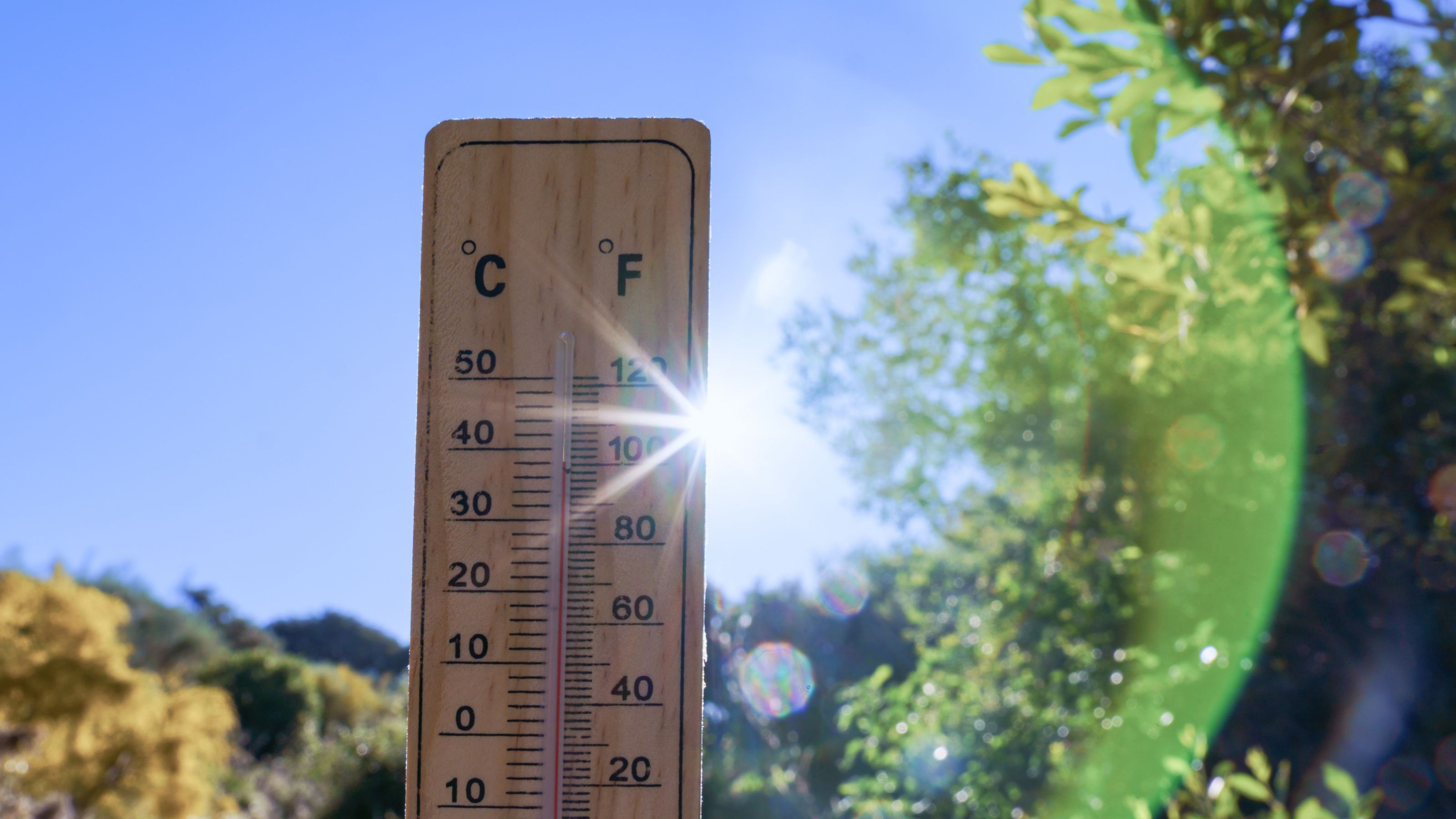 Impact warmer weer op economie