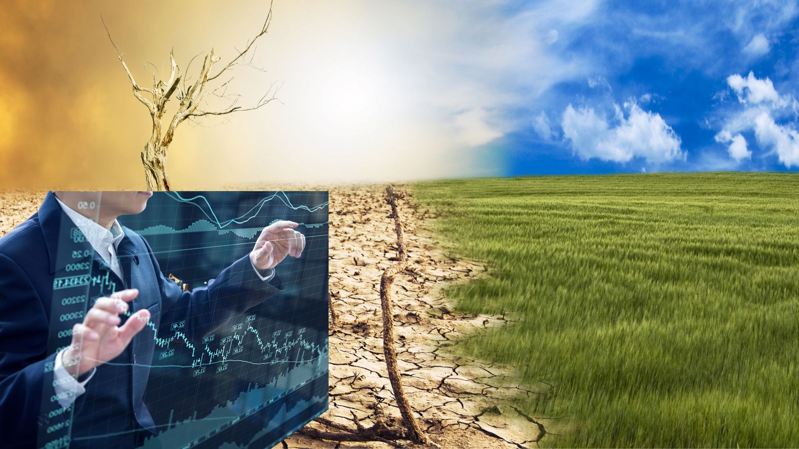 Changing nature: actuarial involvement in climate and sustainability work