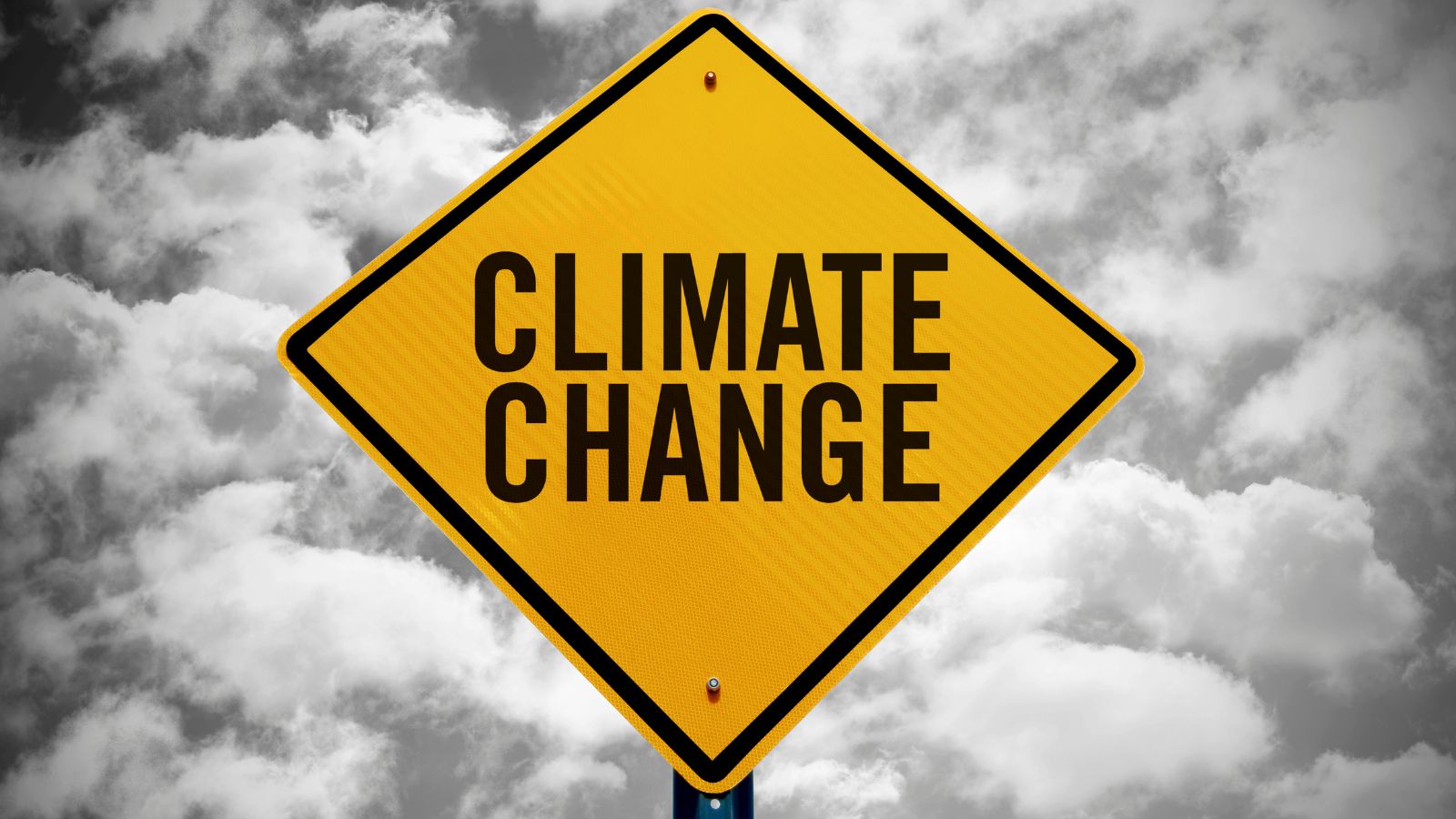 Doorgronden klimaatrisico's essentieel voor vooral kleinere banken