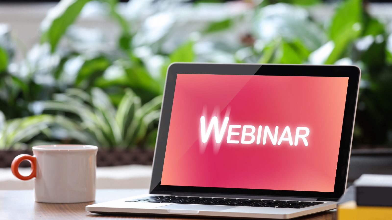 Webinar gemeentefinanciën