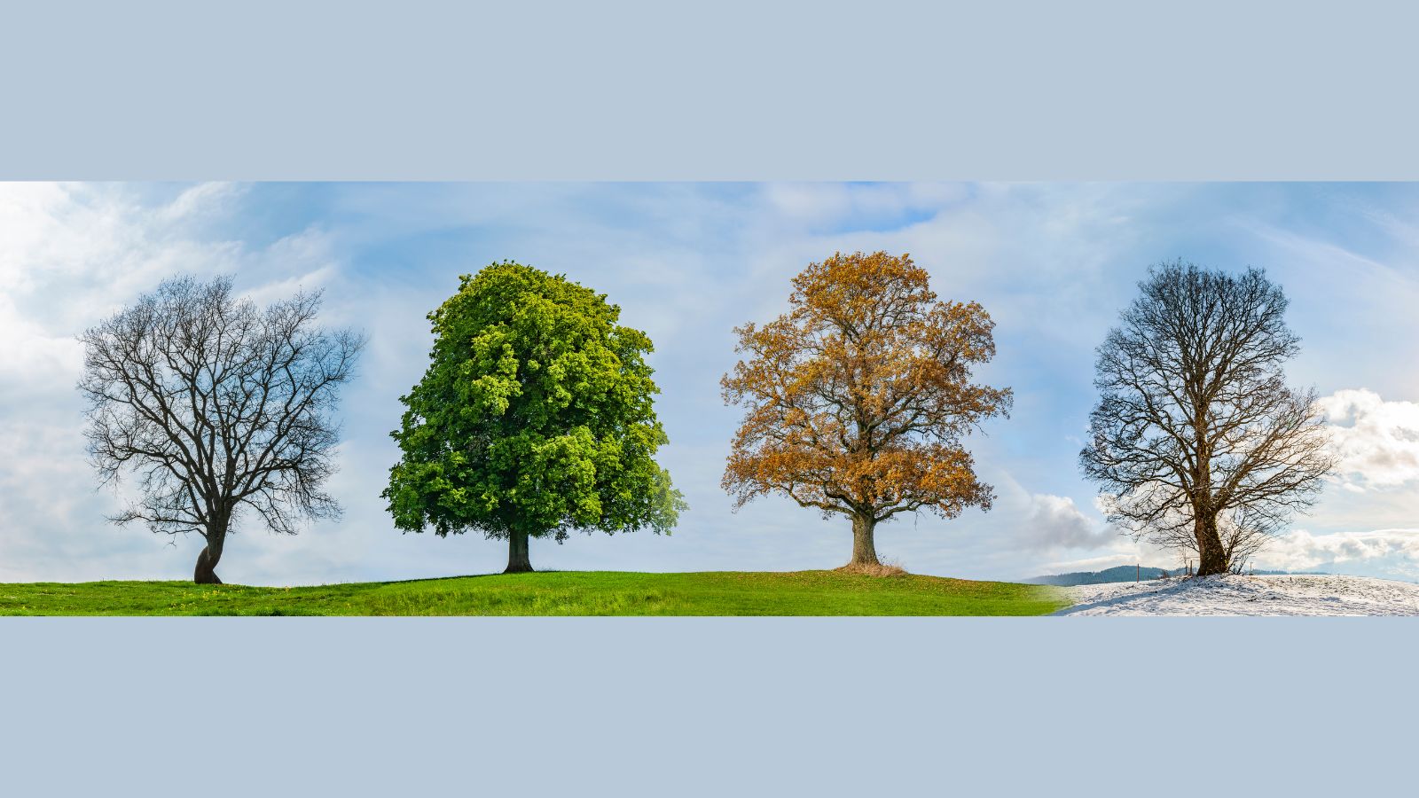 4 handvatten voor accountants voor robuuste aanpak CSRD-assurance