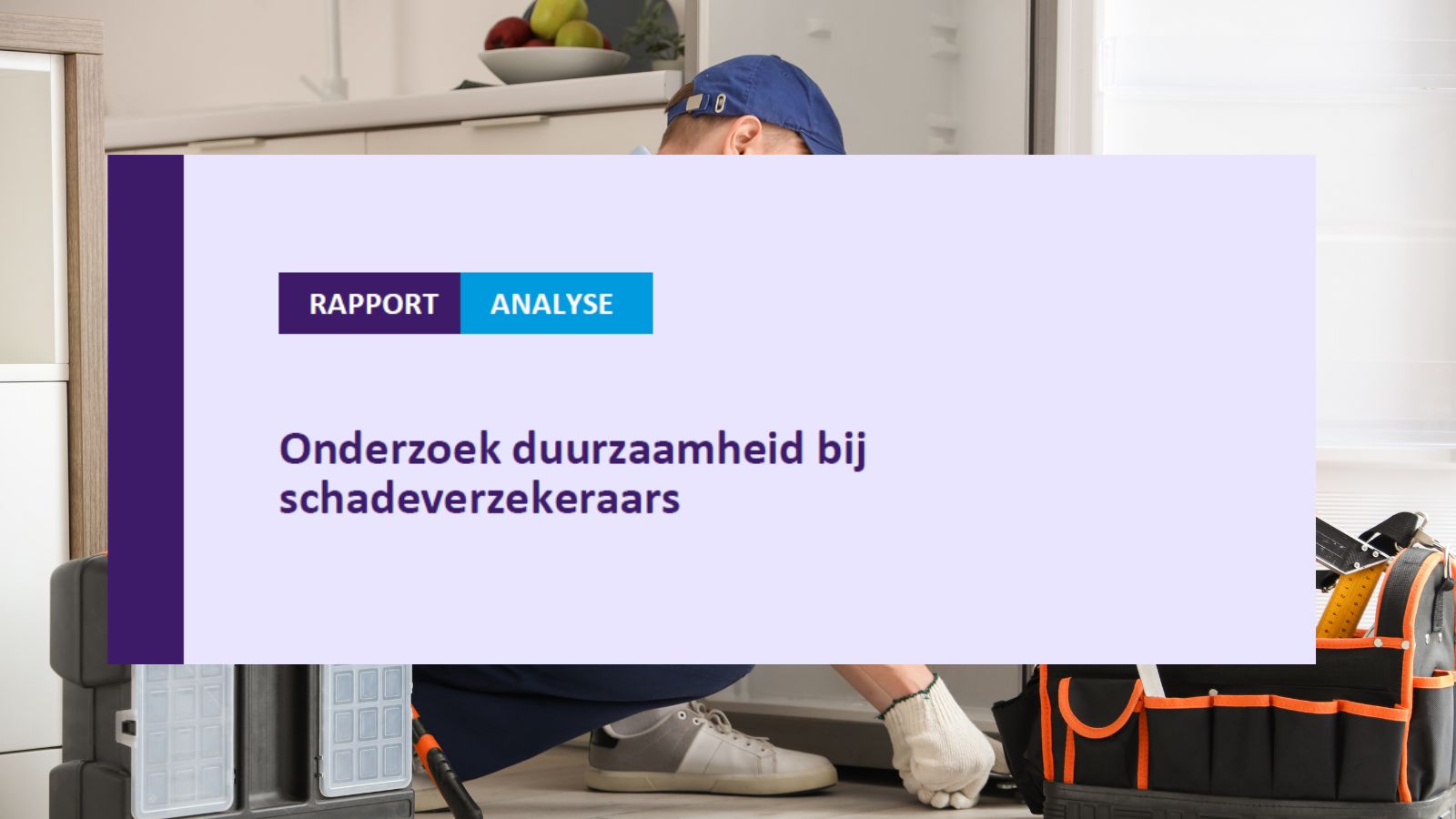 Goede initiatieven op duurzaamheidsgebied bij schadeverzekeraars