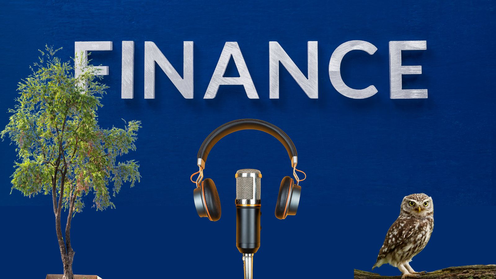 A Different Kind of Bank: How to Embed Impact in Finance