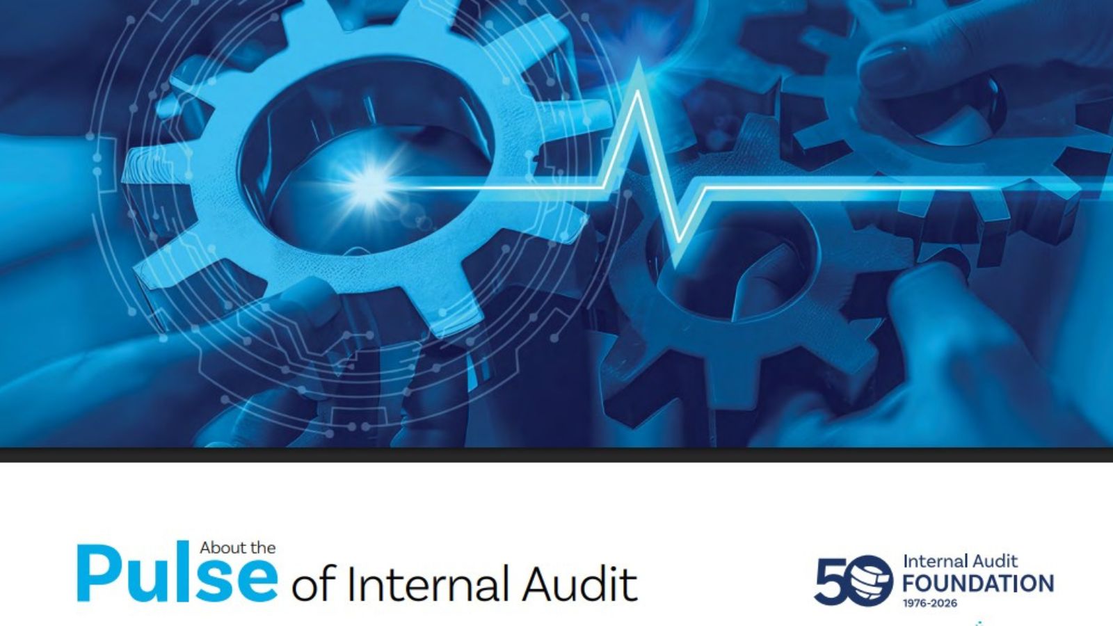 Benchmark for Internal Audit