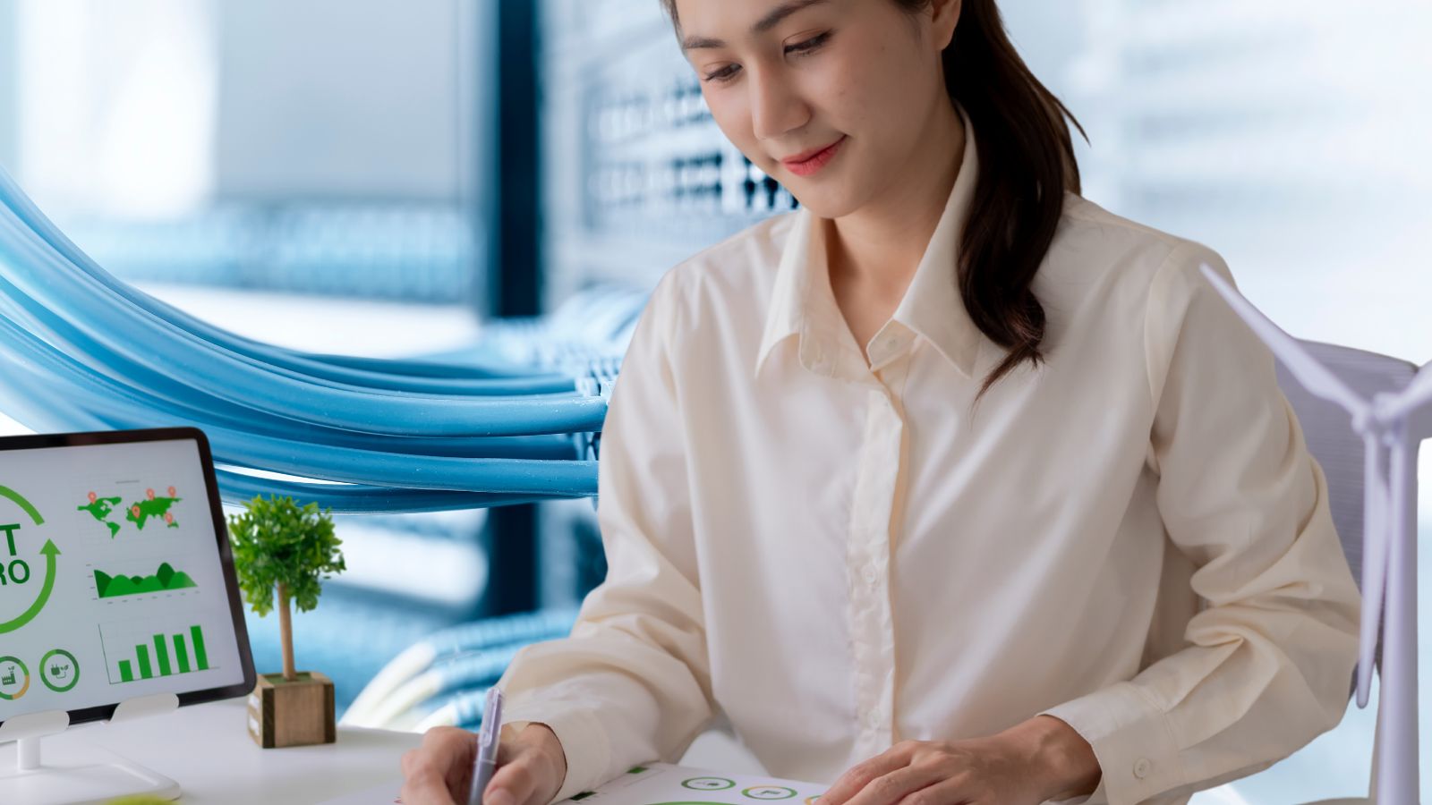 Consultatieperiode studierapport IT-Related Risks and Control Areas in ESG Reporting Framework