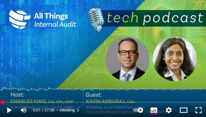 Auditing Privacy in the Age of AI