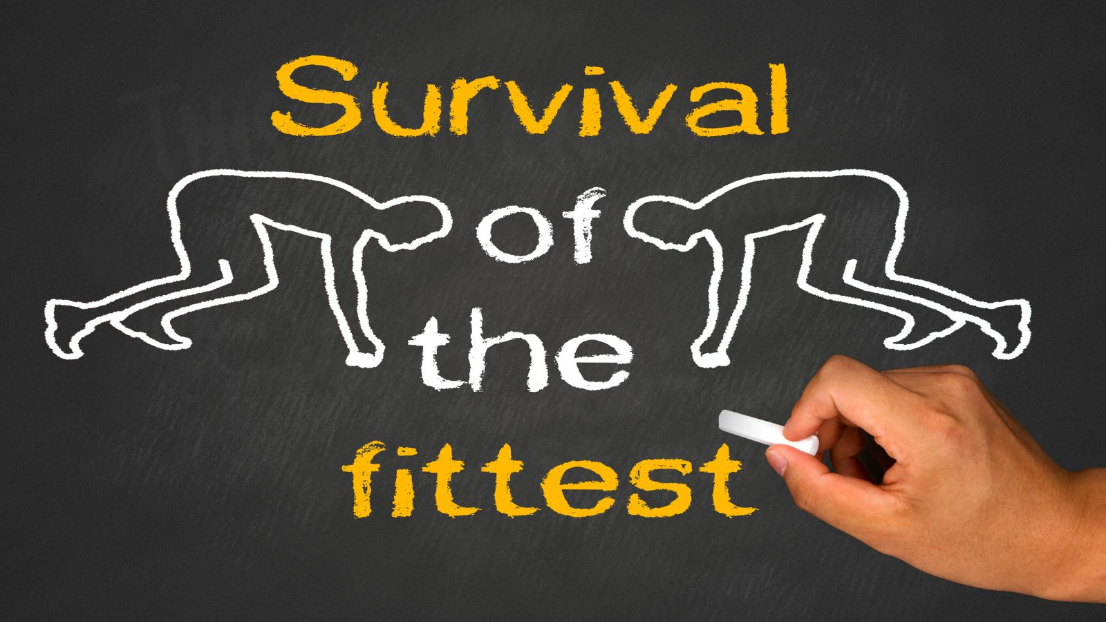 Schaarste maakt creatieve IT-keuzes de enige optie