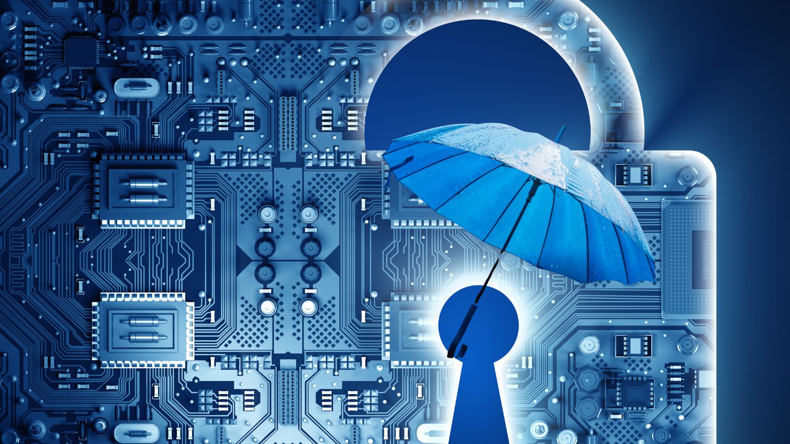 The Future of Cyber Insurance