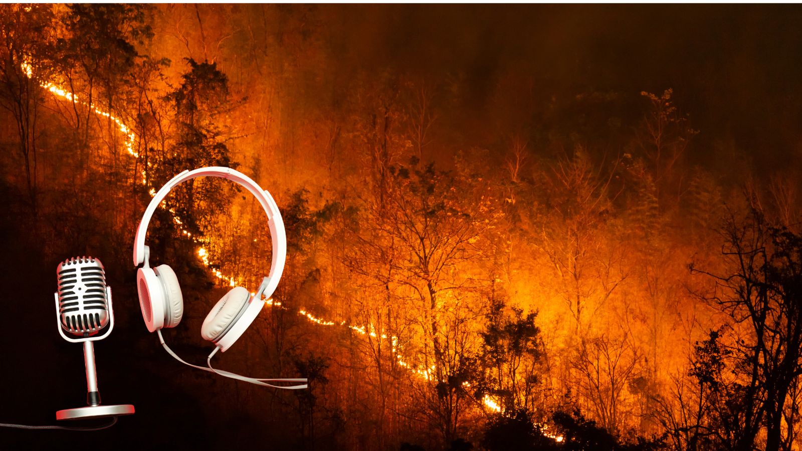 Klimaatrisico is geen toekomstscenario meer, maar dagelijkse realiteit