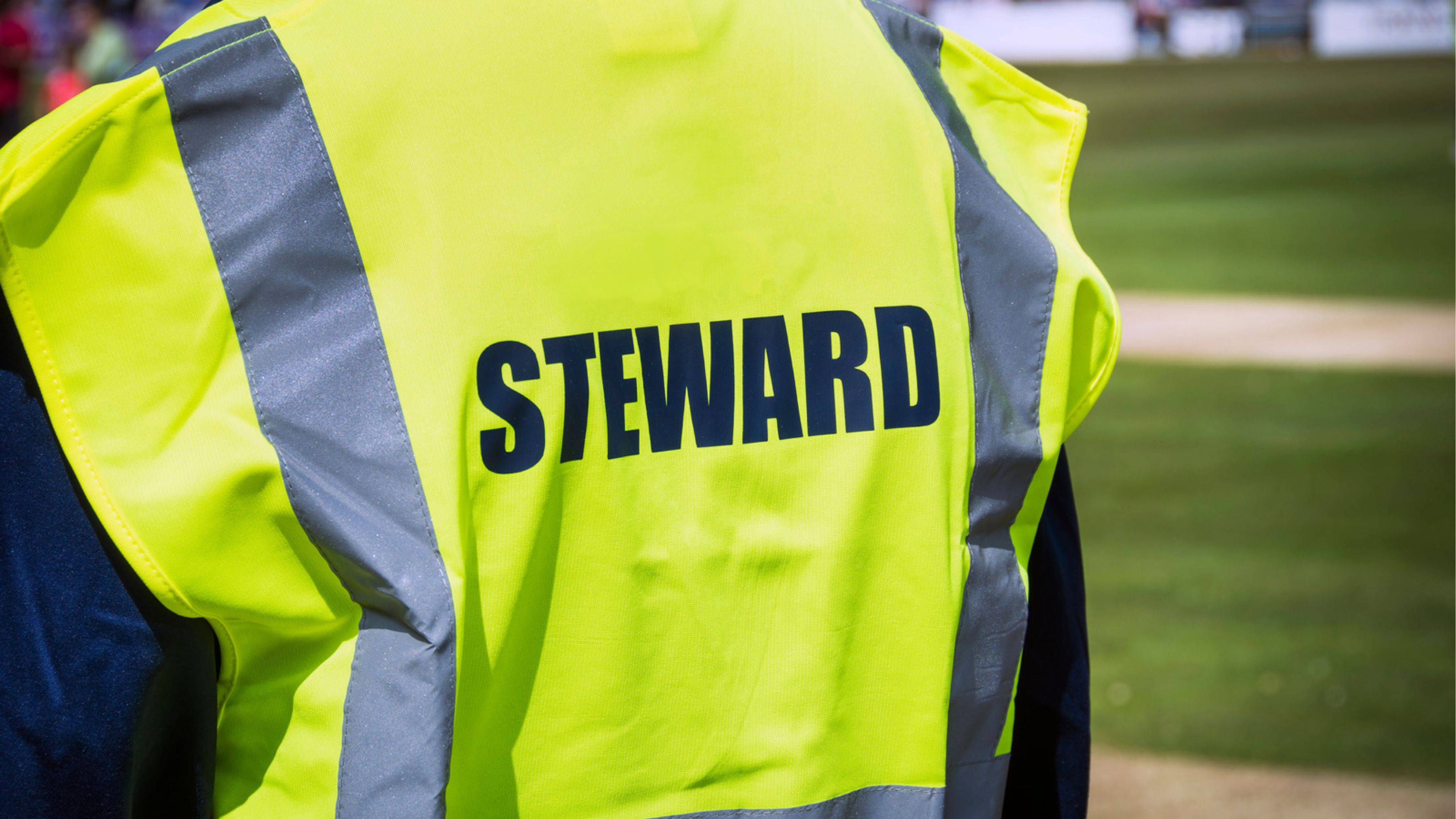 De Risk Manager als Steward