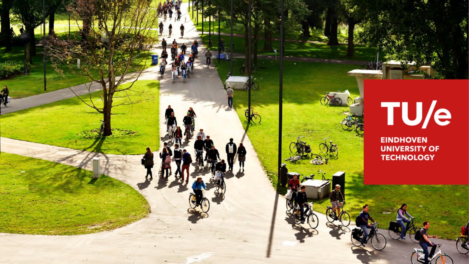 Export Control en Compliance Consultant