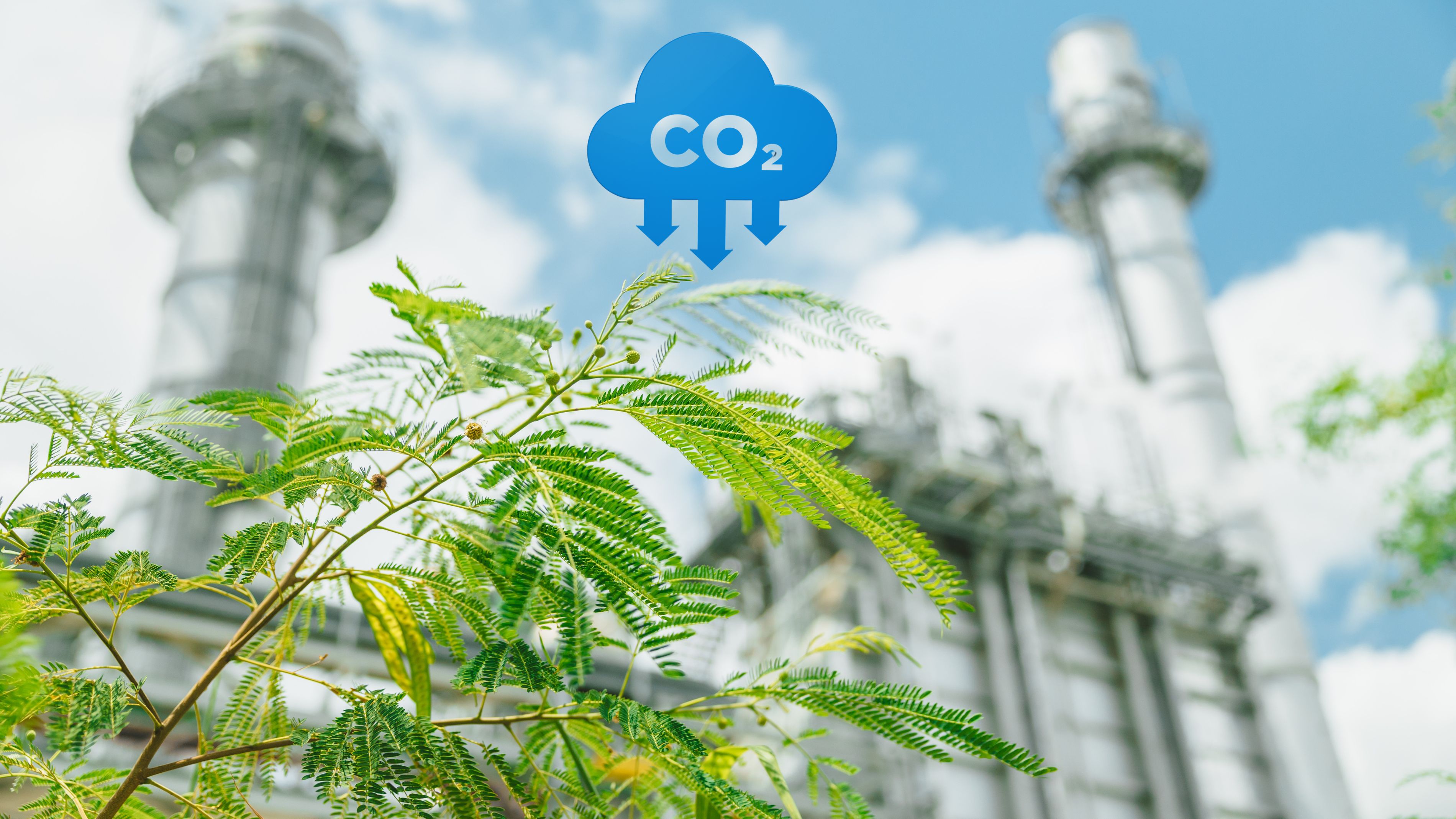 De CO₂-heffing wordt effectief: over naderende deadlines en een mogelijke afschaffing