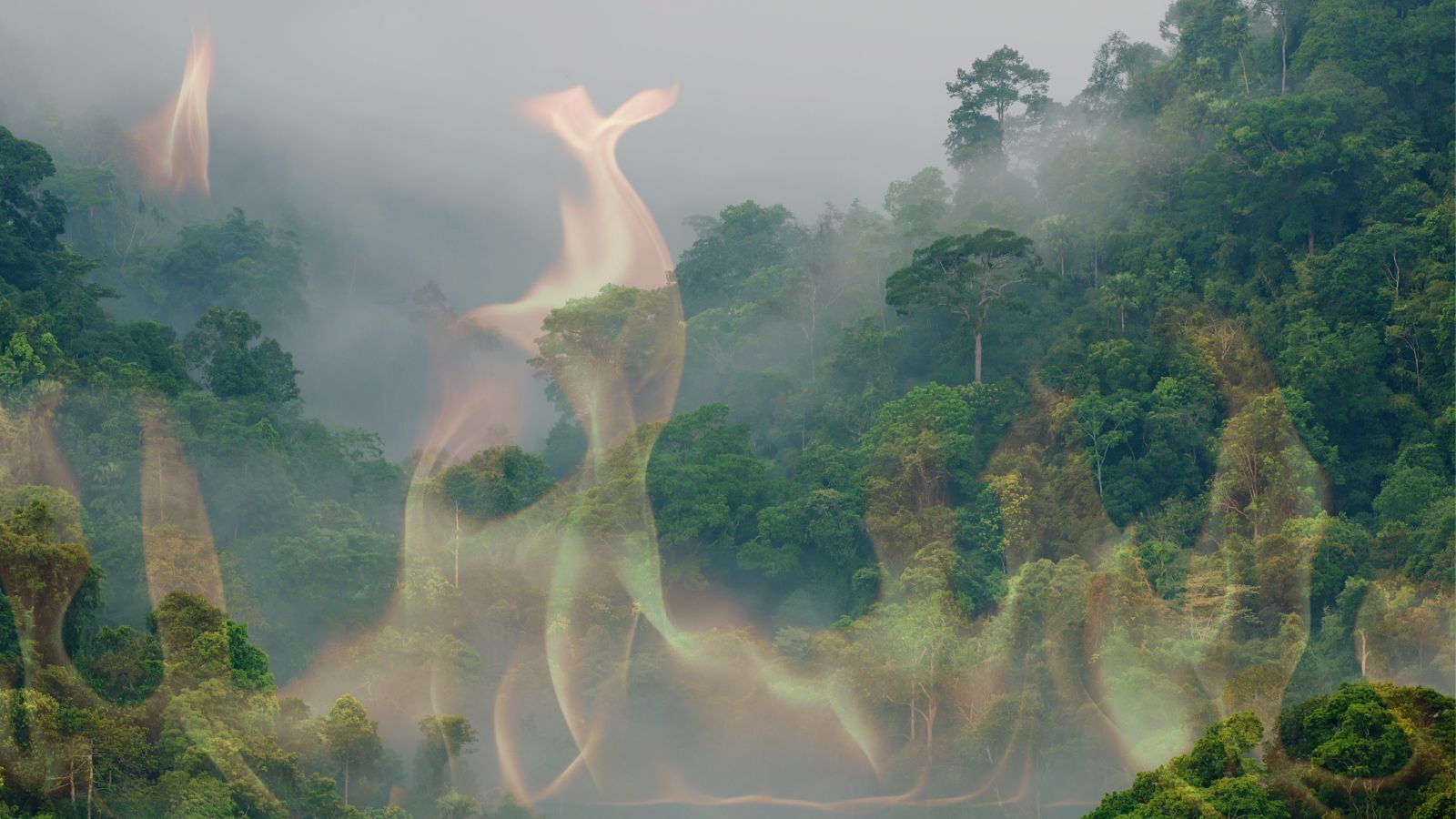 Klimaatwetenschapper Heleen de Coninck: 'De herverkiezing van Trump is toch een soort psychologisch kantelpunt geweest'