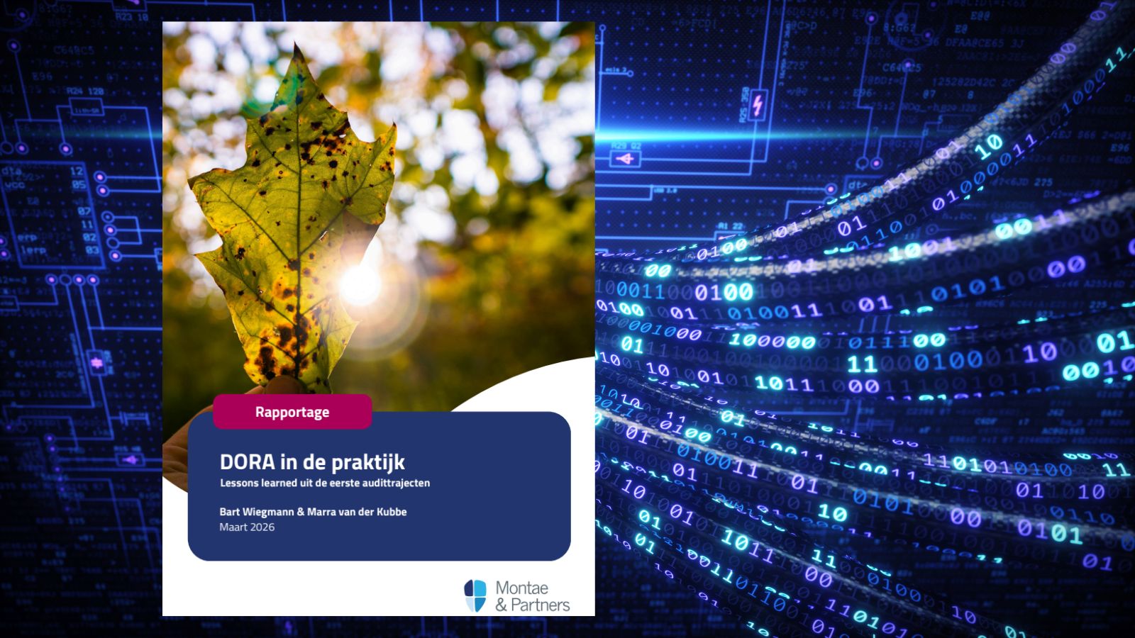 Montae & Partners deelt hun bevindingen uit de eerste DORA audittrajecten 