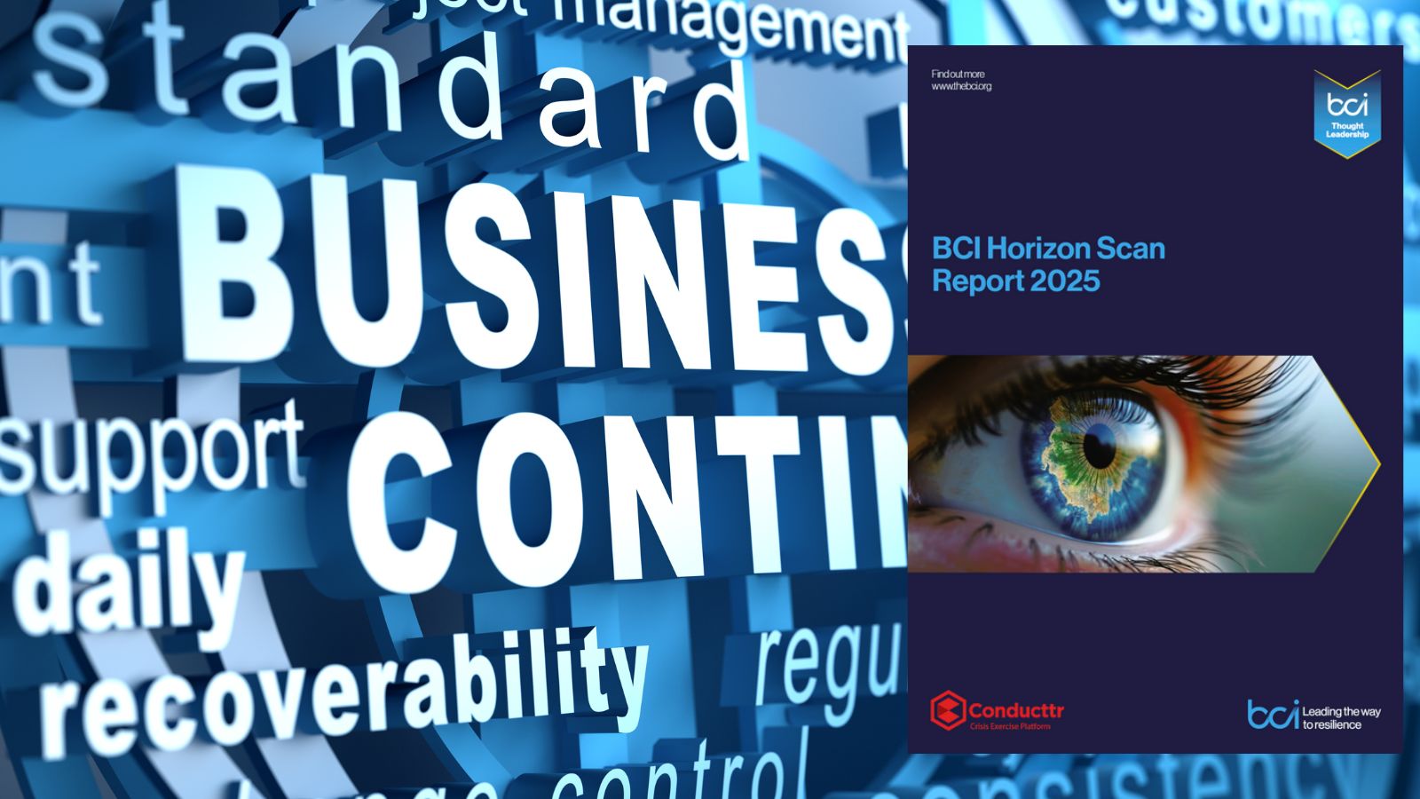 Belangrijkste organisatorische risico’s 2025