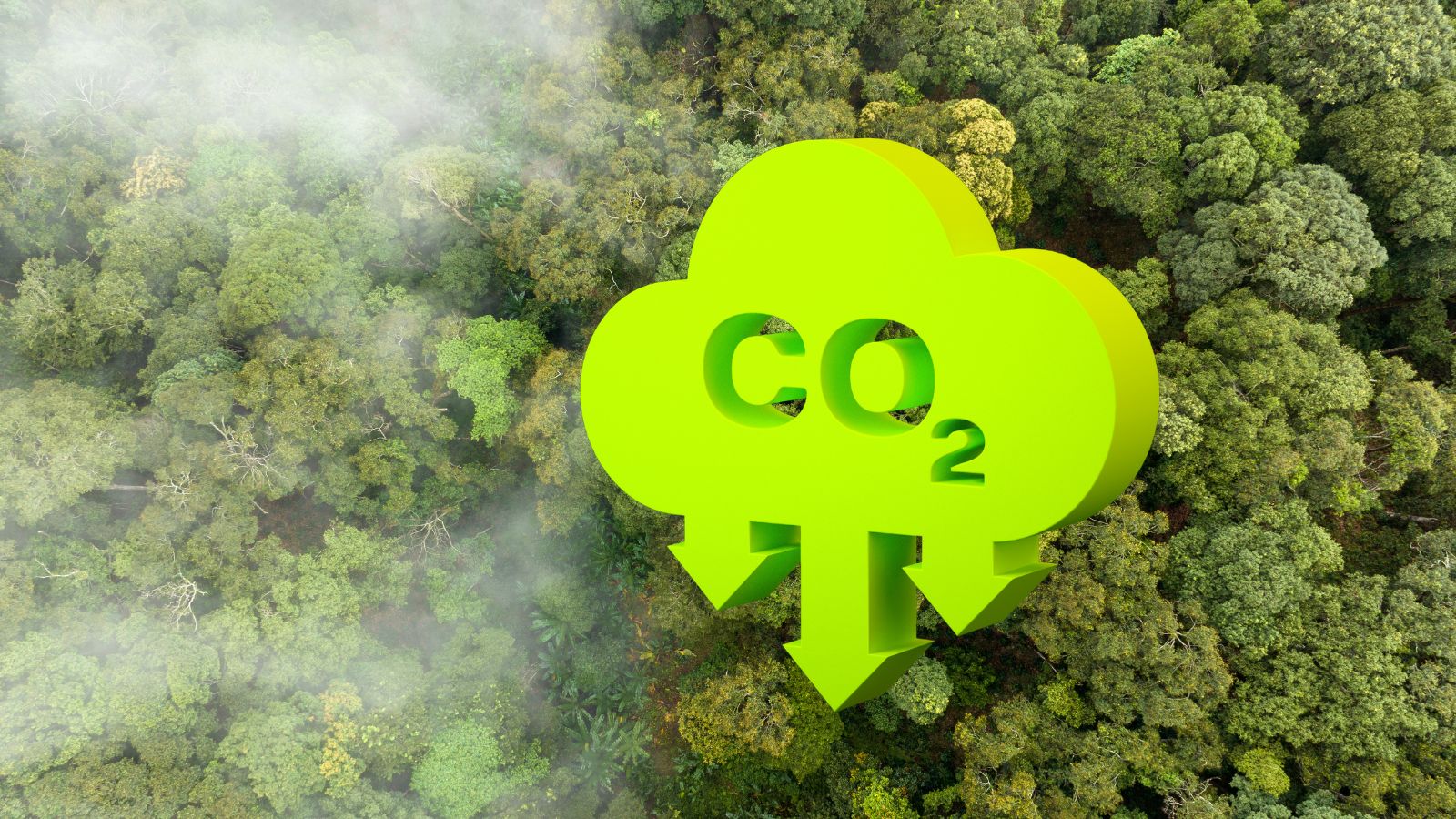 Verbond voltooit 1e ESG-standaarden en zet vervolgstap naar andere verzekeringen