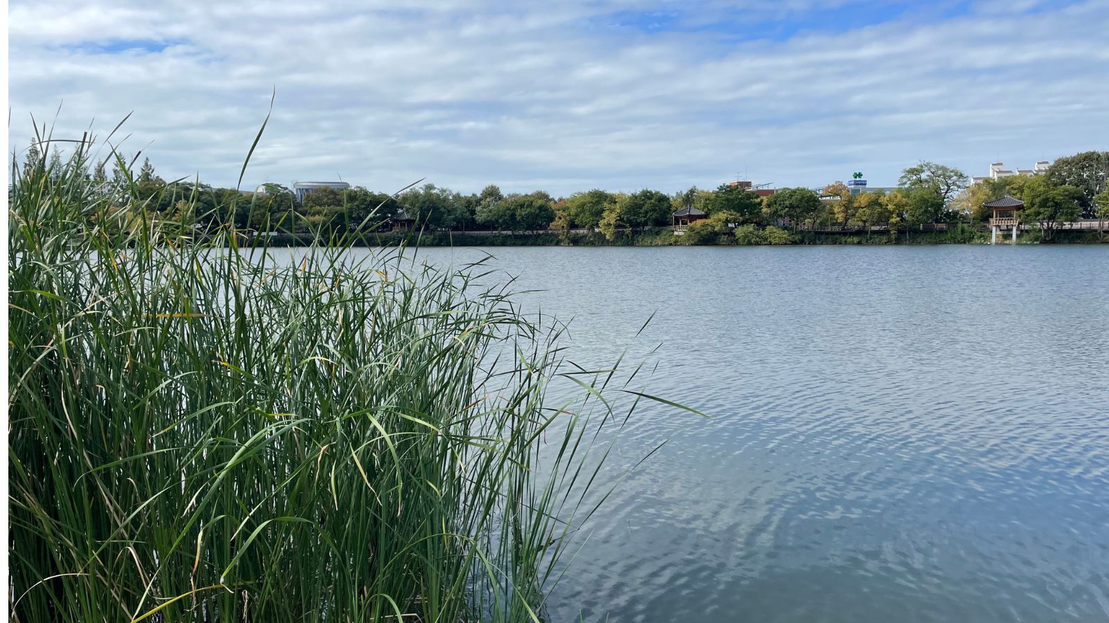 Tariefdifferentiatie waterschapslasten pakt gunstiger uit voor huiseigenaren