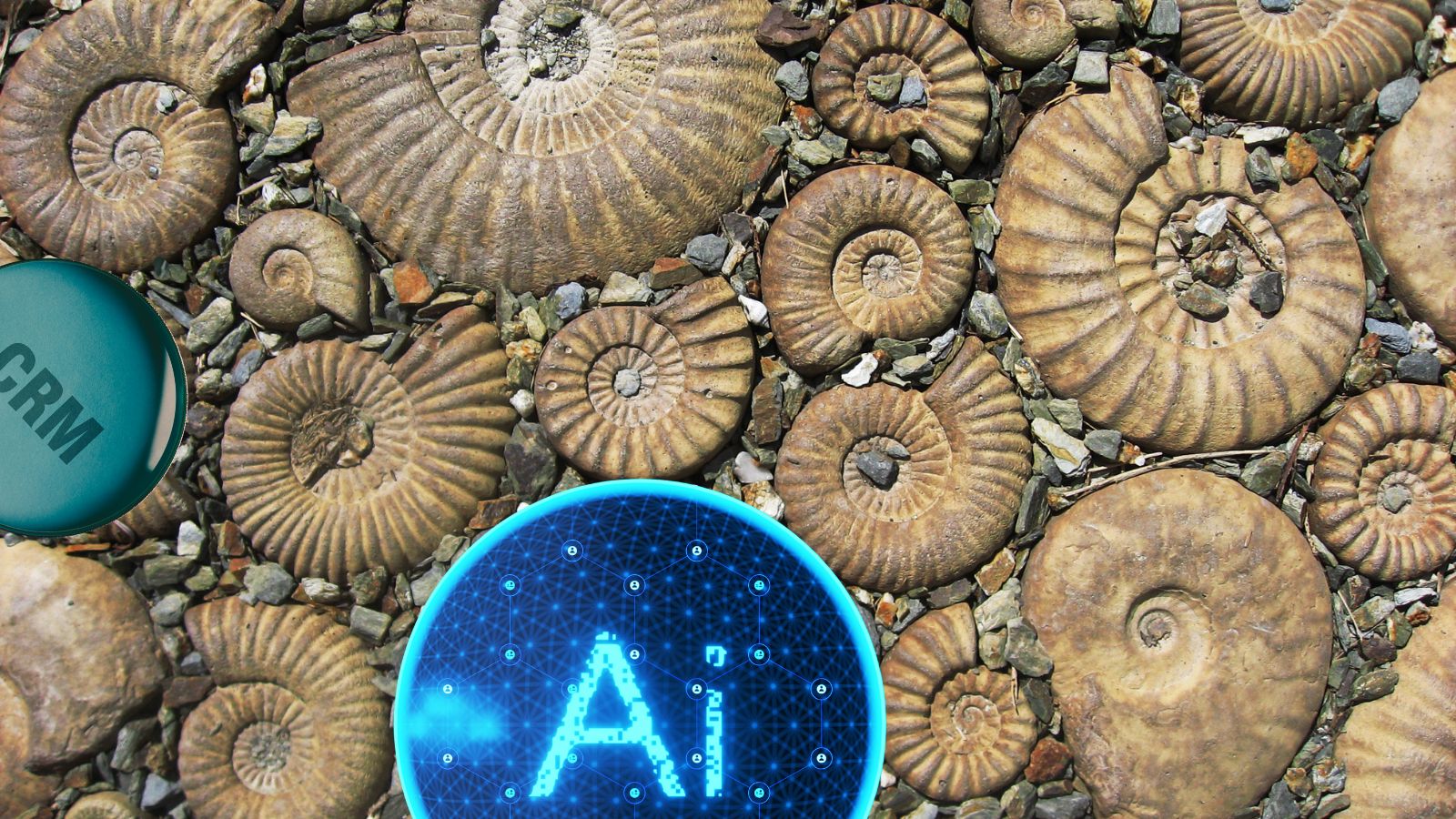 Bij AI draait alles om data, toch?