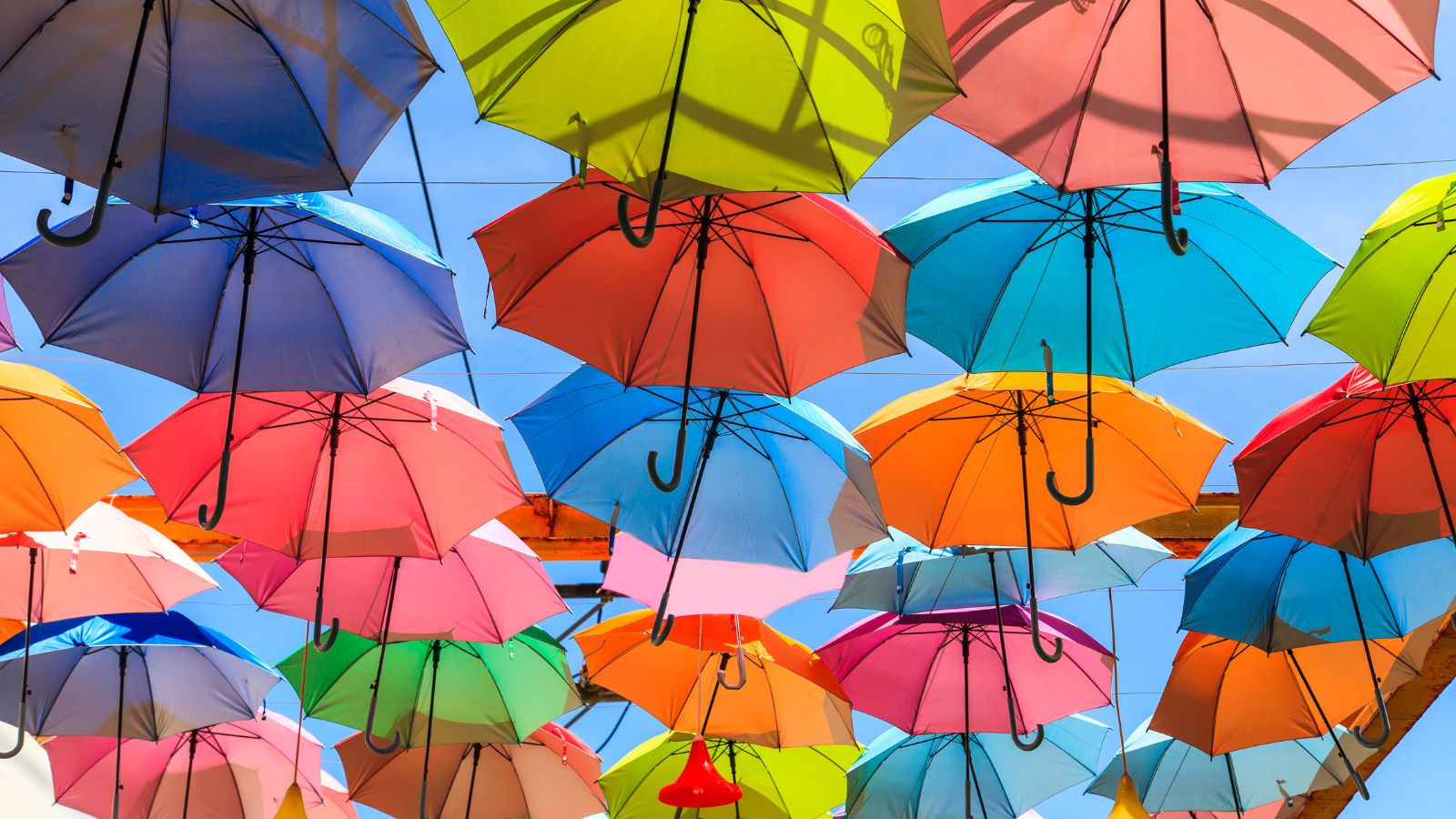 The Growing Protection Gap in European Insurance—and How to Close It