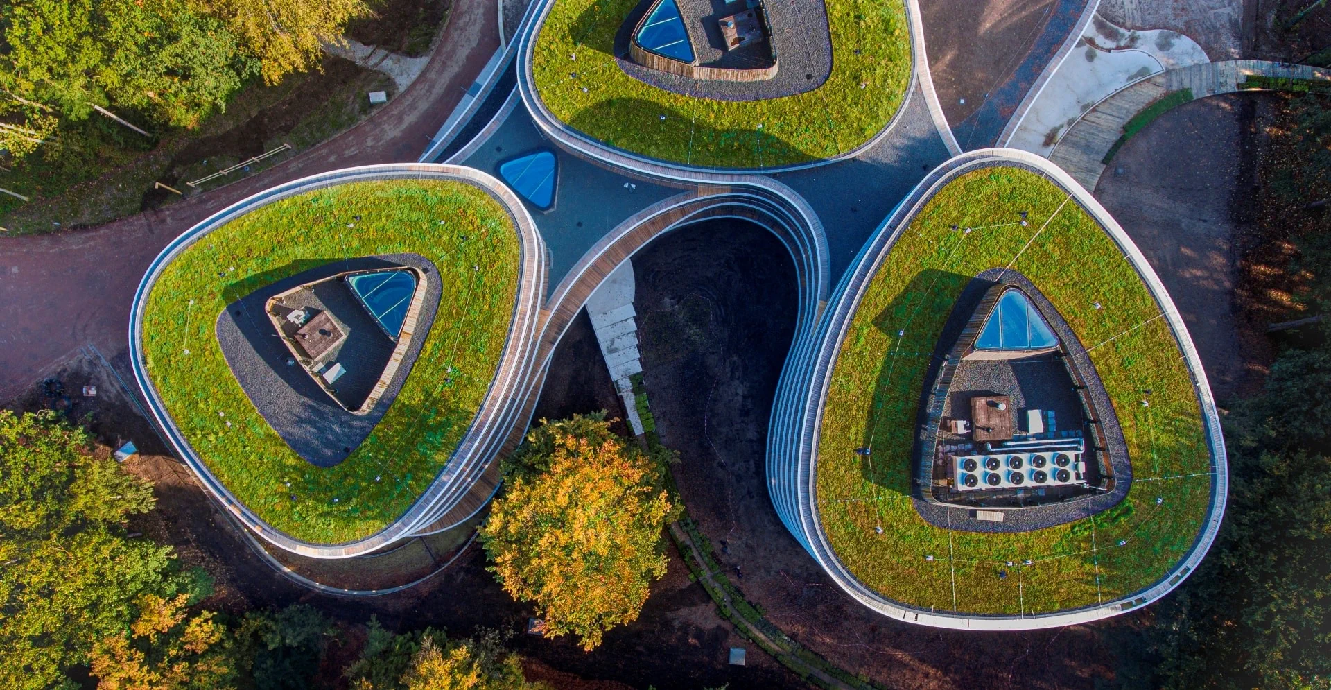 Fund Manager Impact Investments and Nature Based Solutions