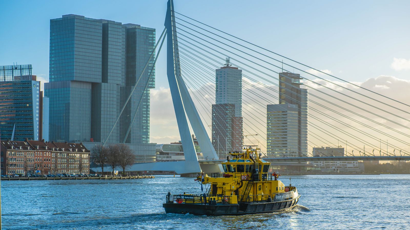 Economische keuzes bepalen steeds meer hoe Nederland eruitziet