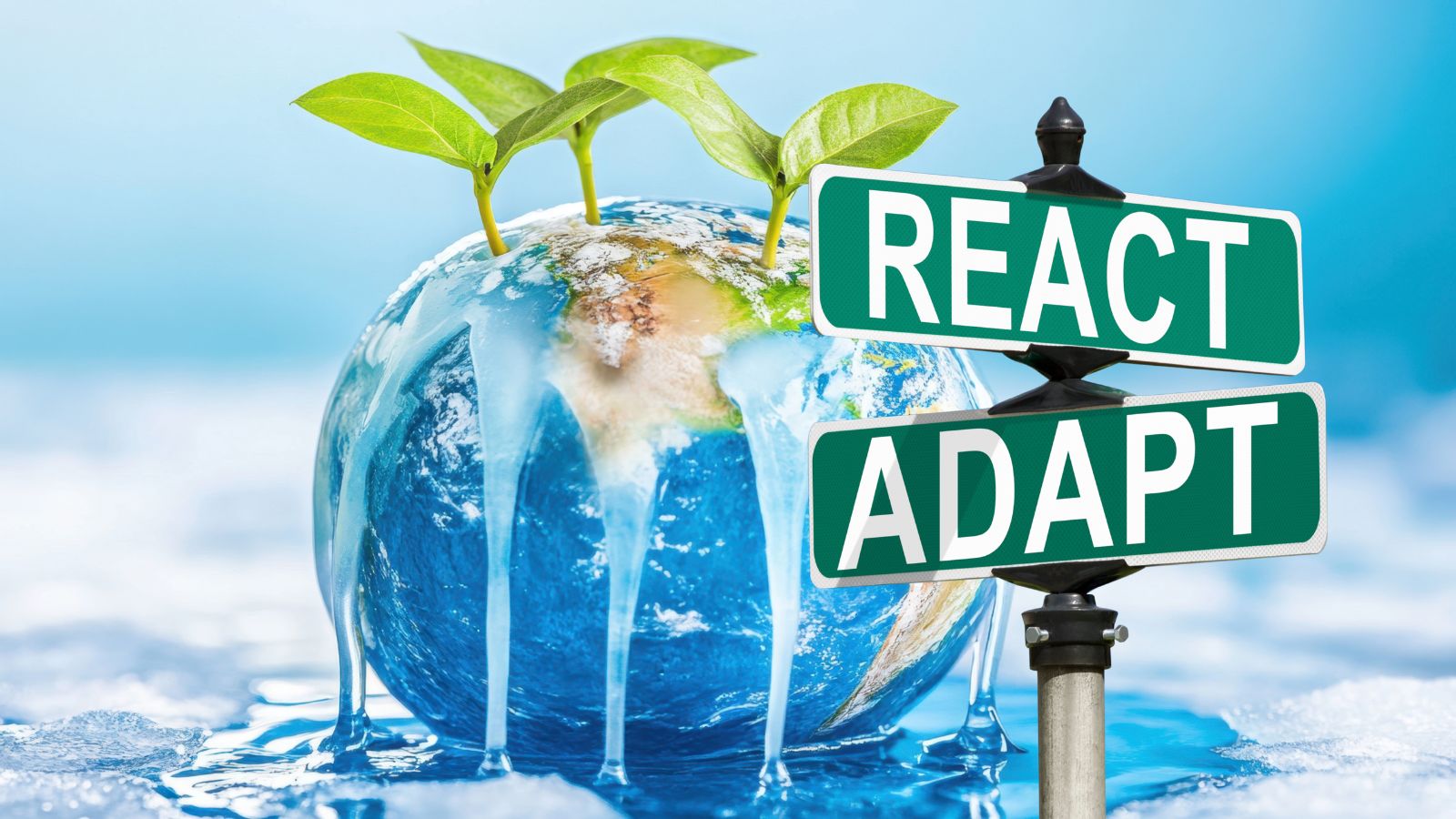 Werkgroep Klimaatadaptatie boekt tastbare resultaten in 2025