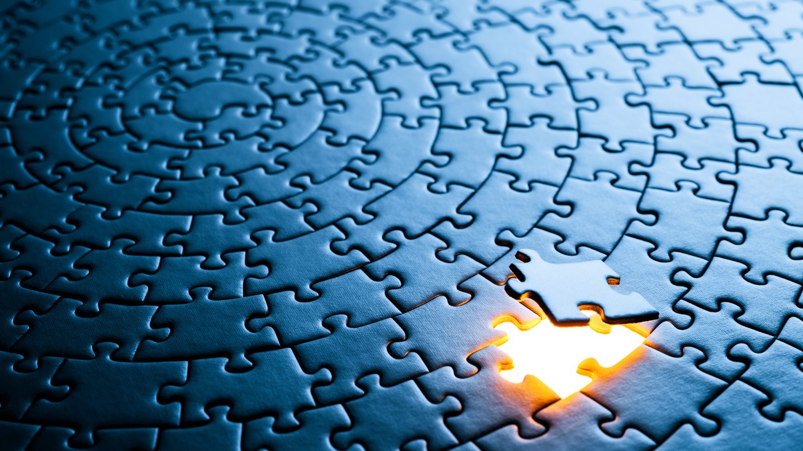 De 'lifecyclepuzzel'