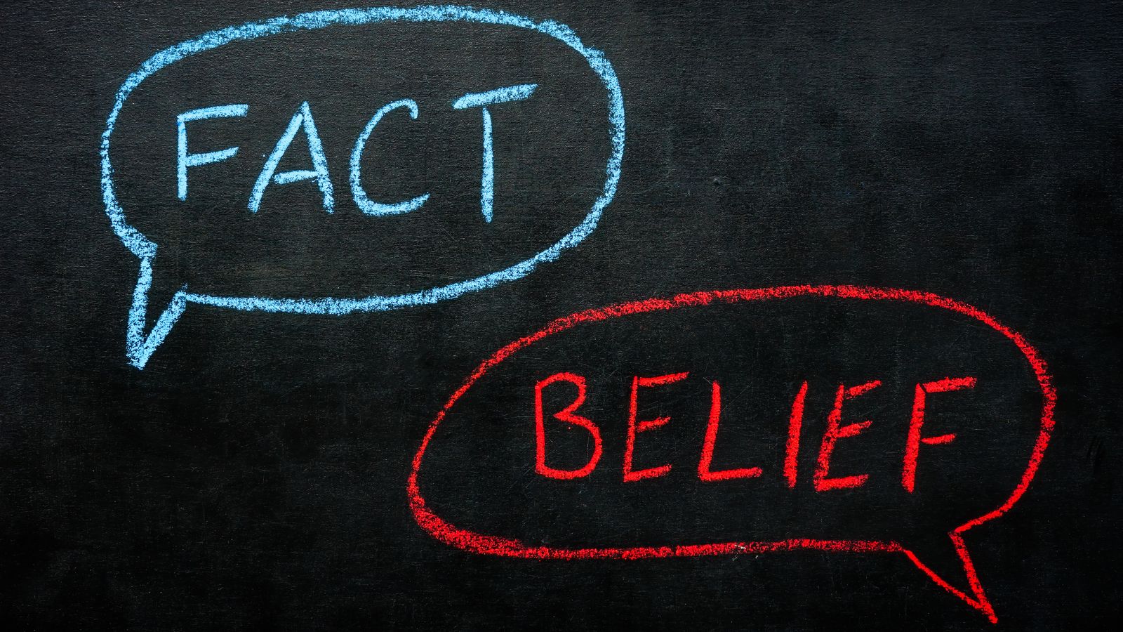 ‘Biases winnen vaker van data dan financials denken’