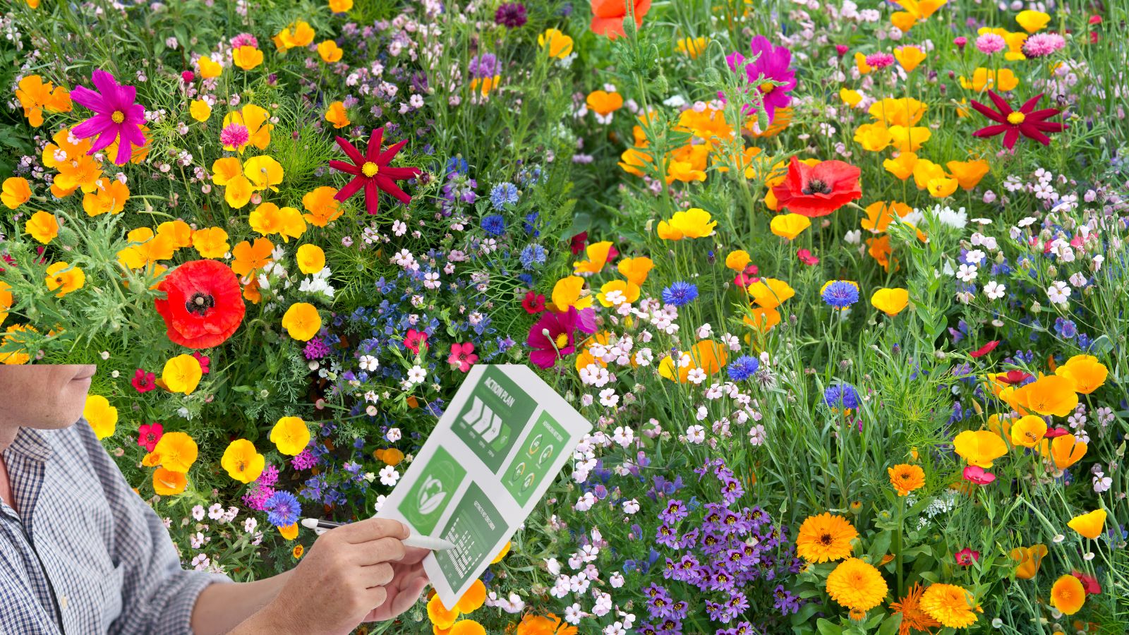 Biodiversiteit: het moeilijkste onderdeel van de CSRD