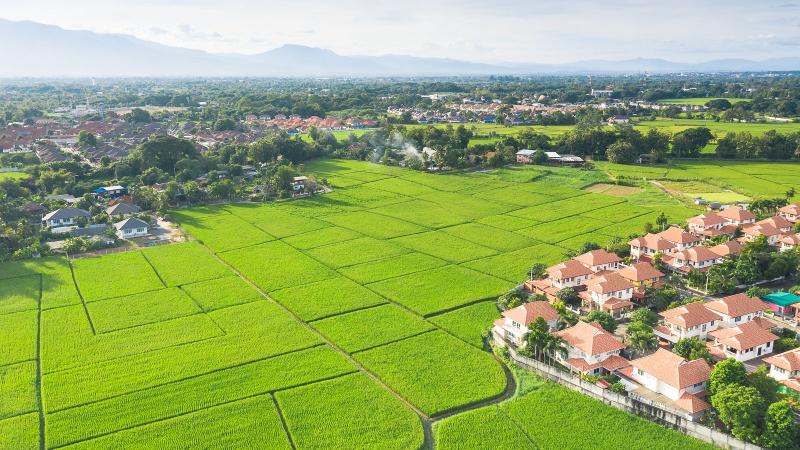 NVM pleit voor landinrichting als sleutel voor integrale gebiedsontwikkeling