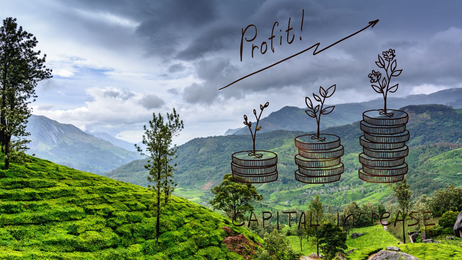 Natuur krijgt een prijskaartje