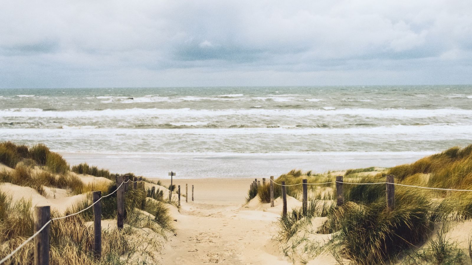 "De Noordzee is cruciaal voor Nederland. En dat mag iedereen weten"