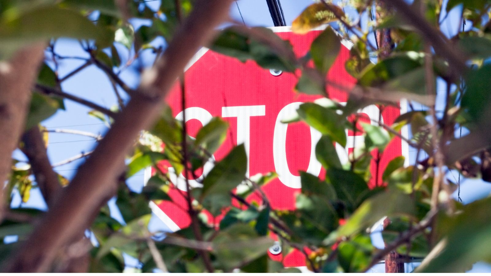 'Risico's verdwijnen niet, maar veranderen van vorm'