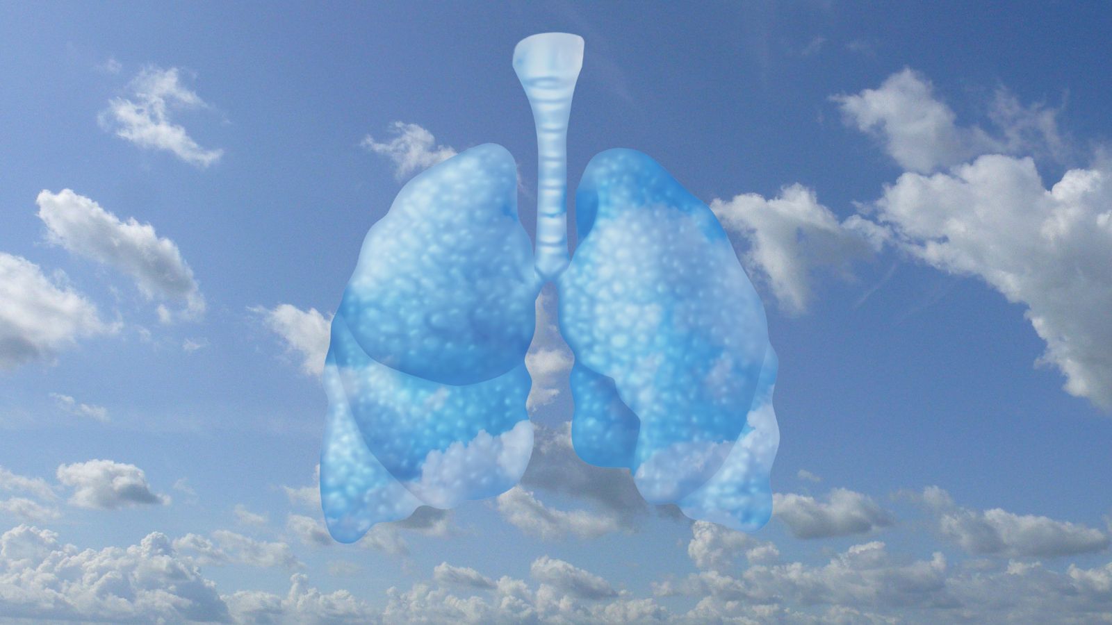 Bedrijven investeerden in 2024 minder in milieu