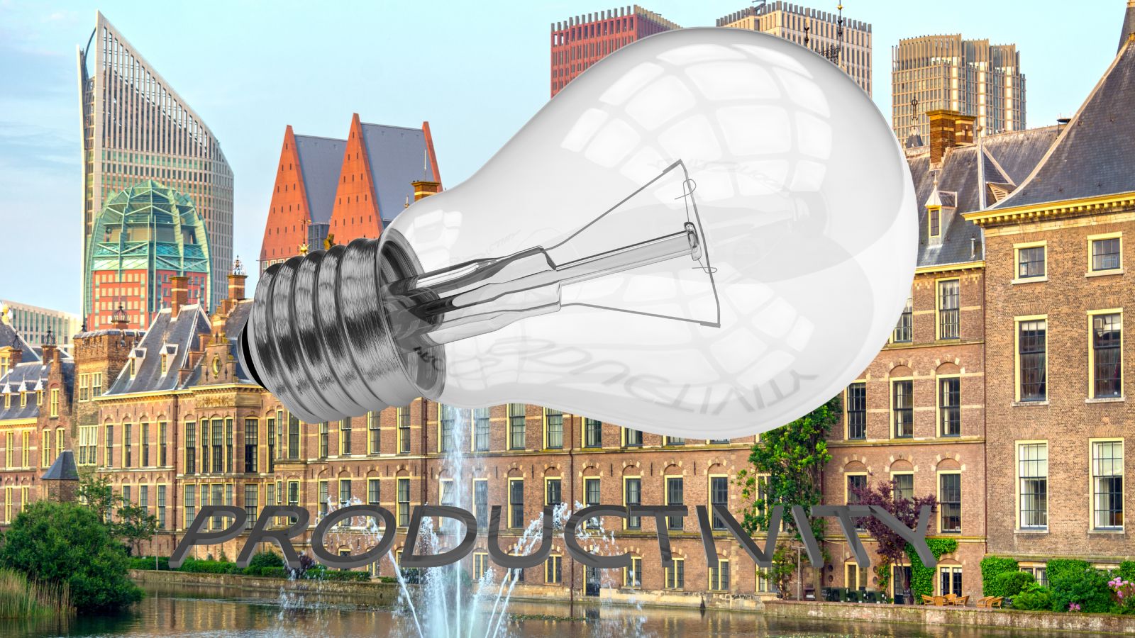 Meer regels lossen productiviteitsprobleem overheid niet op