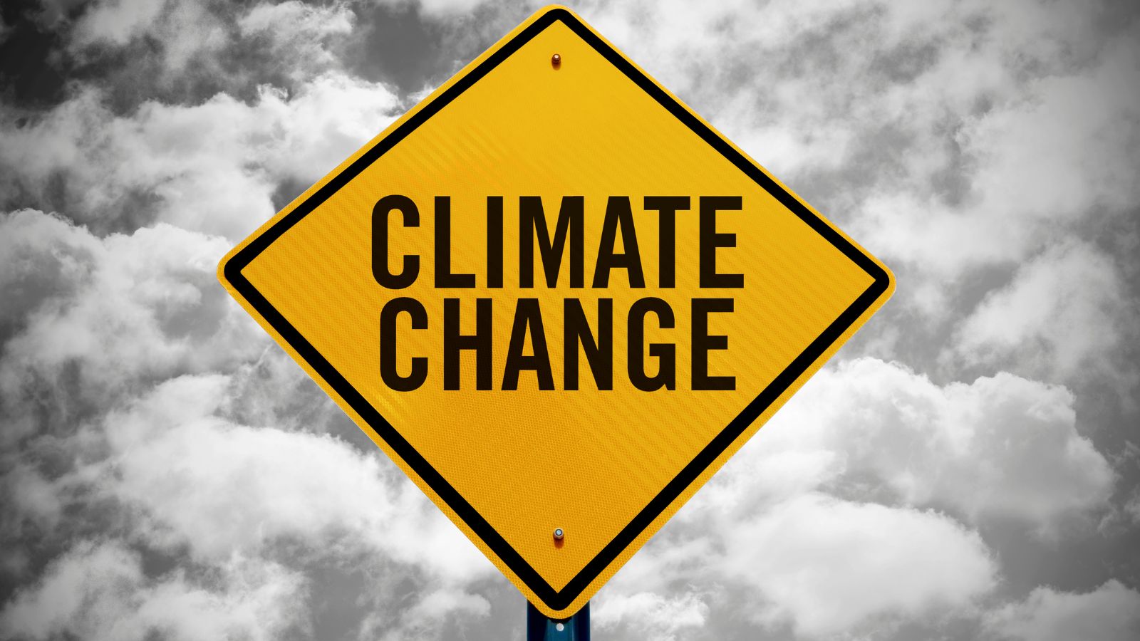 Overzicht klimaatrisico's in polisvoorwaarden weer geactualiseerd