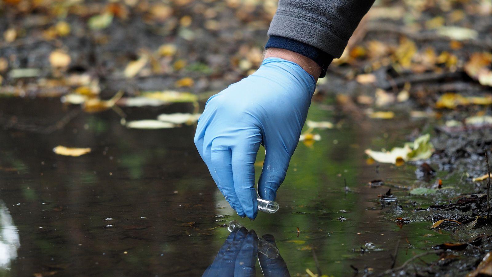 Hoe fiscale onzuiverheid te voorkomen