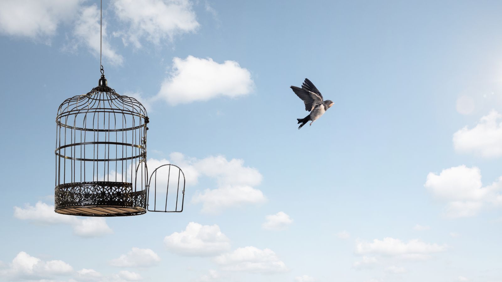 Bert Boerland (SUSE) waarschuwt voor onjuist debat over digitale soevereiniteit